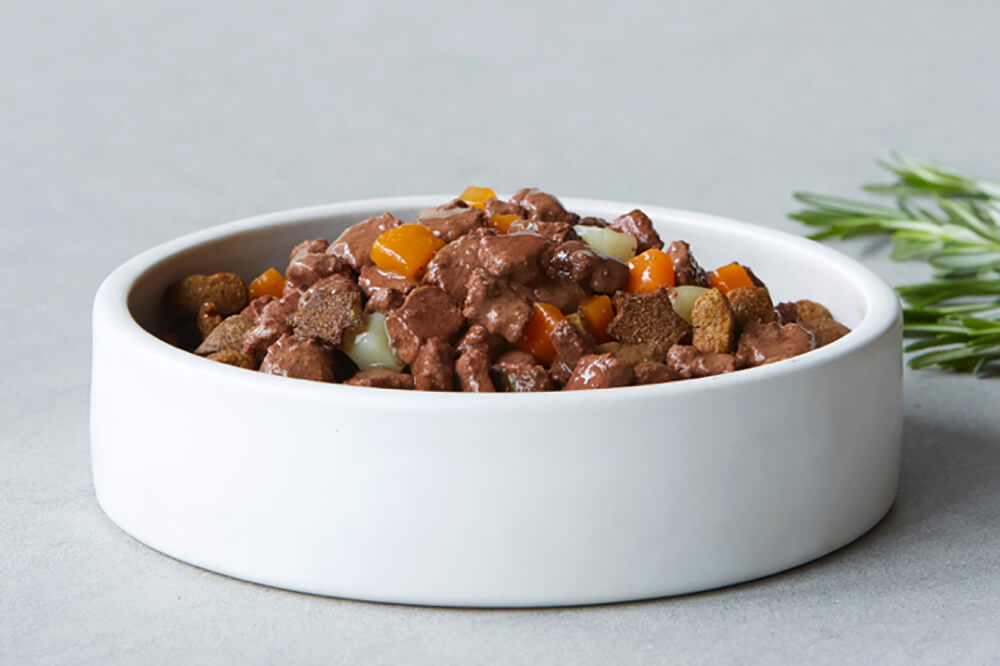 Стоит ли выбрать влажный корм для кошек с курицей?